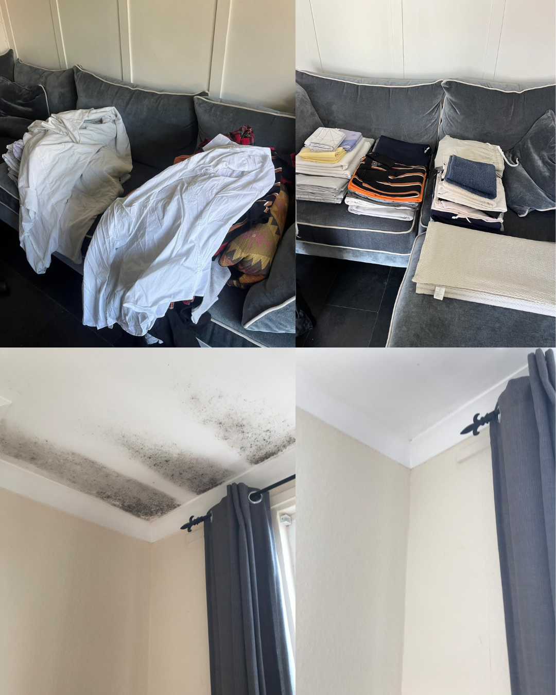 Decluttering and Mold Removal Services